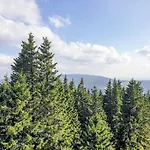 Stribrny Pramen-7 By Interhome Apartmán Janské Lázně