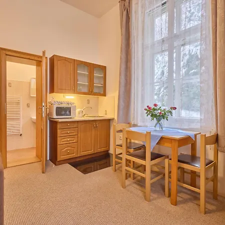 Appartamento Stribrny Pramen-7 By Interhome Janské Lázně