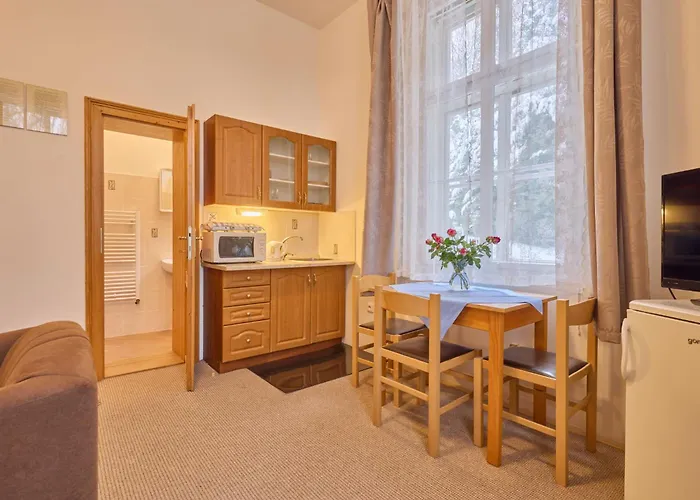 Appartement Stribrny Pramen-7 By Interhome Janské Lázně