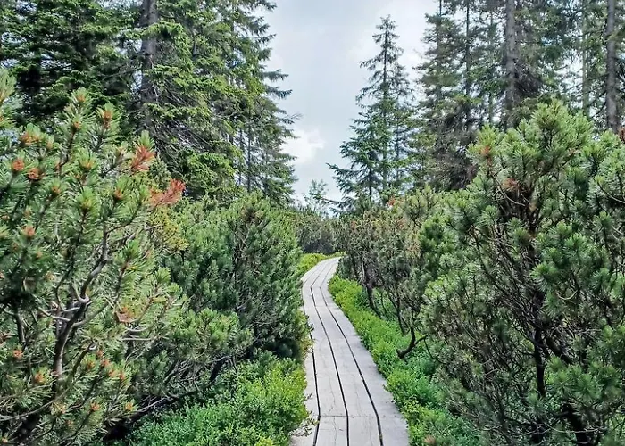 Stribrny Pramen-7 By Interhome