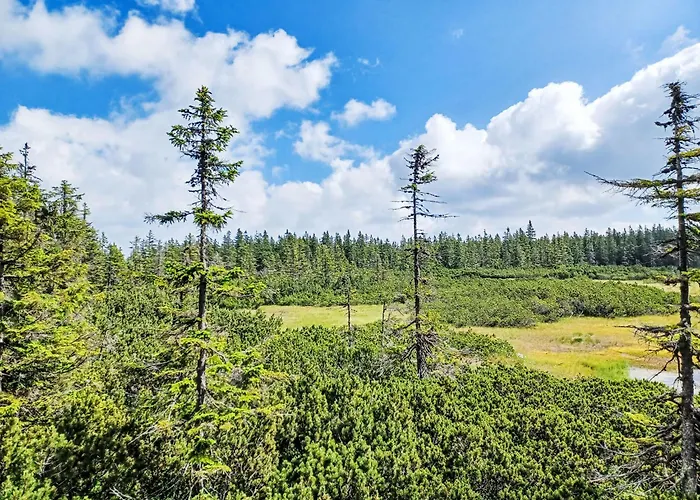 Stribrny Pramen-7 By Interhome Appartamento