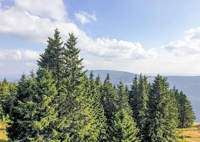 Stribrny Pramen-7 By Interhome Appartamento Janské Lázně